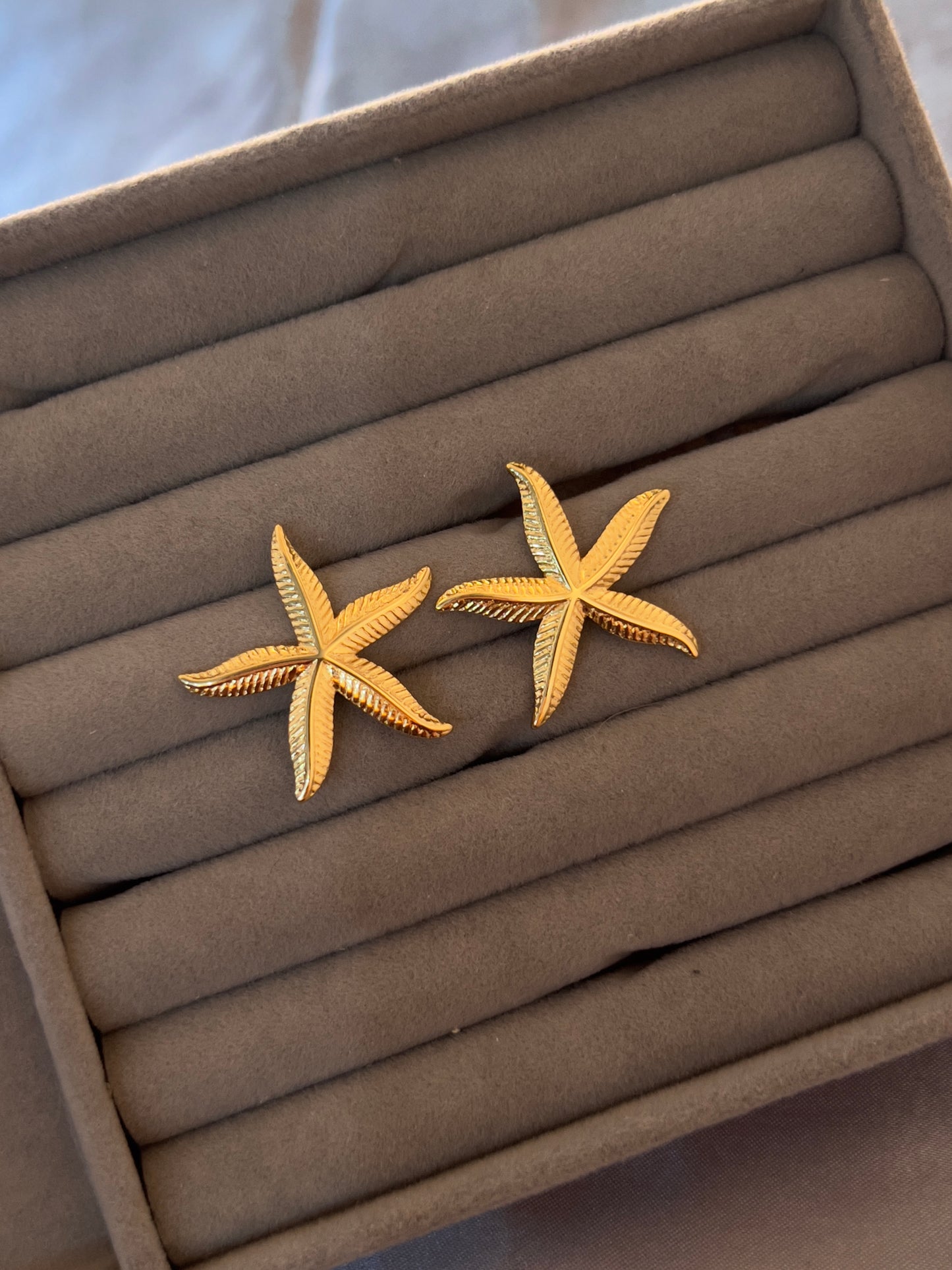Starfish Earrings